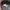 Oakley Streetwear Minimalist Short Pria gray photo 5