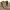 Sugar Cane Vintage Casual Casual shirt Pria tan cream photo 2