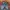 Japanese brand Vintage Y2K Jeans Pria blue photo 4