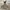 Sportswear Track jacket Pria gray photo 1