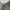Sportswear Track jacket Pria gray photo 7