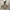 Sportswear Track jacket Pria gray photo 2