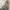 Sportswear Track jacket Pria gray photo 8