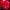 Oakley Vintage Luxury Hat Pria red photo 3