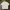 Casual T-shirt Pria White