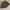 Y2K Mini skirt Wanita brown photo 1
