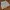Casual Mini skirt Wanita white photo 1