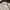 ELLE Vintage Casual Harrington jacket Pria cream photo 5