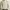 ELLE Vintage Casual Harrington jacket Pria cream photo 2