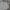 LAINE Muslim Formal shirt Pria gray photo 1