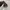 Mizuno Sportswear Sneakers Pria multicolor photo 4