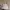 Polo Ralph Lauren Casual Hat Pria White