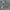 Billabong Casual Jeans Pria gray photo 1