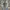 Billabong Casual Jeans Pria gray photo 2