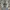 Billabong Casual Jeans Pria Gray
