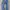 Levi's Casual Jeans Pria Navy
