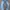 Cardinal Casual Jeans Pria navy photo 1