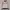 Streetwear Sportswear Track jacket Pria white red photo 2