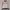 Streetwear Sportswear Track Jacket Pria White Red