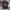Vintage Y2K T-shirt Pria black photo 2