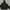 Dirty Business Gorpcore Windbreaker Pria gray photo 2