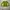 Casual Blouse Wanita green photo 1