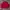 Giordano Gorpcore Sportswear Windbreaker Pria red photo 1