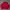 Giordano Gorpcore Sportswear Windbreaker Pria Red