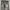 Japanese brand Streetwear Jeans Pria multicolor photo 8