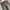 Japanese brand Streetwear Jeans Pria multicolor photo 4