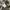 EDWIN Streetwear Jeans Pria multicolor photo 6