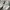 Adidas Skater Sportswear Sneakers Wanita white green photo 7