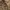 Japanese brand Vintage Streetwear Jeans Pria brown photo 5
