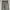 GAP Streetwear Jeans Pria gray photo 3