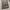 GAP Streetwear Jeans Pria gray photo 4
