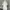 Liz Lisa Fairy Coquette Blouse Wanita white cream photo 1