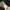 Nylaus Streetwear Jeans Pria multicolor photo 6
