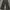 Vintage Y2K Jeans Pria gray photo 2