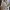 Converse Casual Sneakers Pria white tan photo 4