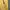 Adidas Sportswear Casual Casual pants Pria yellow photo 6