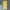 Adidas Sportswear Casual Casual Pants Pria Yellow
