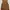Executive Minimalist Midi dress Wanita brown photo 1