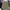 Maison Margiela Avant Garde Sweater Pria green photo 3
