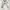 Nike Sportswear Sneakers Pria White