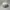 Kangol Streetwear Luxury Hat Pria tan cream photo 1