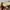 Kangol Streetwear Luxury Hat Pria tan cream photo 7