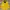 Barbour Vintage Casual Parka Pria yellow photo 2