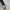 Adidas Casual Hat Pria white orange photo 7