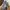 Adidas Streetwear Casual Sneakers Pria black gray photo 4