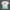 Uniqlo Indie Casual T-shirt Pria white blue photo 1